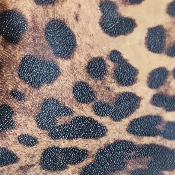 Dolce & Gabbana Leopard Print Clutch Wristlet - Picture 3 of 12